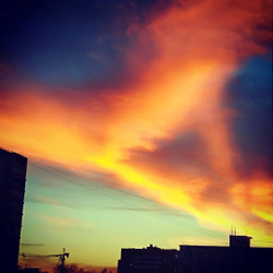 Грифон