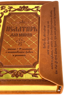 IMG_7734-PhotoRoom.png-PhotoRoom