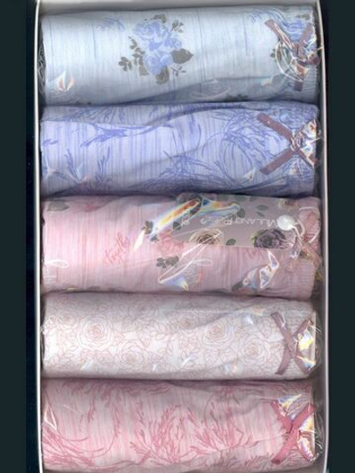 Набор из 5 трусиков-слип оригинальных расцветок (Размер: 95) (Цвет: разноцветный)