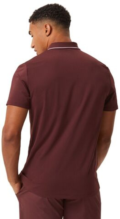 Мужское теннисное поло Björn Borg Ace Light Polo - decadent chocolate