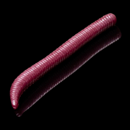 JAM PRO 65mm 134 Виолет Сыр