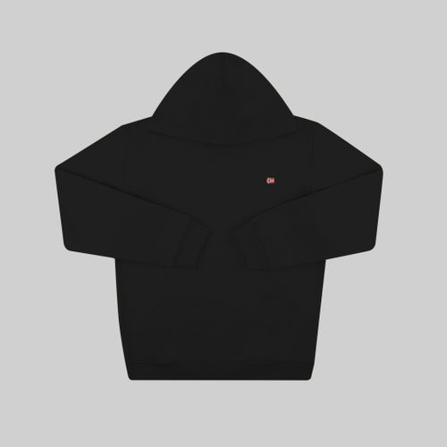 Толстовка мужская Napapijri Balis Hoodie артикул:NA4FQV041 - купить в магазине Дайс