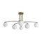 Потолочная люстра Freya Hanger FR5443CL-06BS