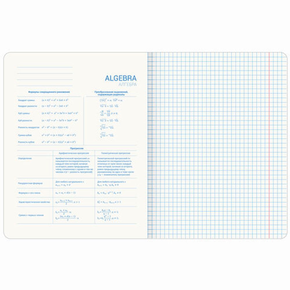 Тетради предметные со справочным материалом, КОМПЛЕКТ 10 ПРЕДМЕТОВ, ORIGINAL, 48 л., TWIN лак, BRAUBERG, 404328