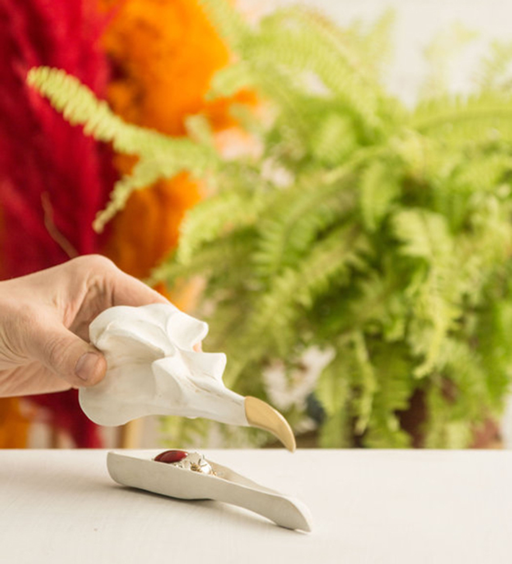 Шкатулка для украшений bird skull (белый)