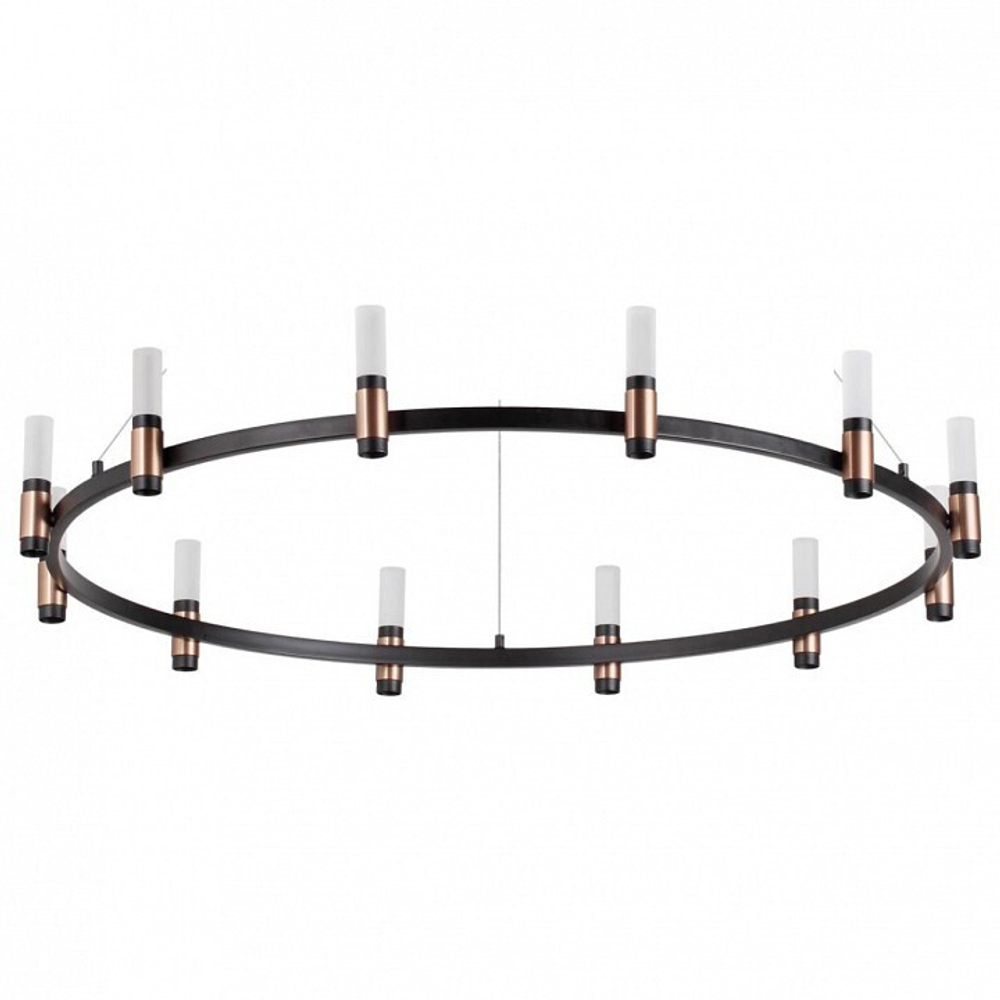 Подвесная люстра Odeon Light 5009/48L