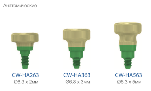Формирователи десны MIS C1 Коническое Соединение