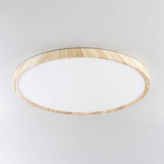 Потолочный светильник Citilux Бейсик Клен CL738322V