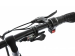 Электрофэтбайк Elbike Taiga 2 St (Зеленый)