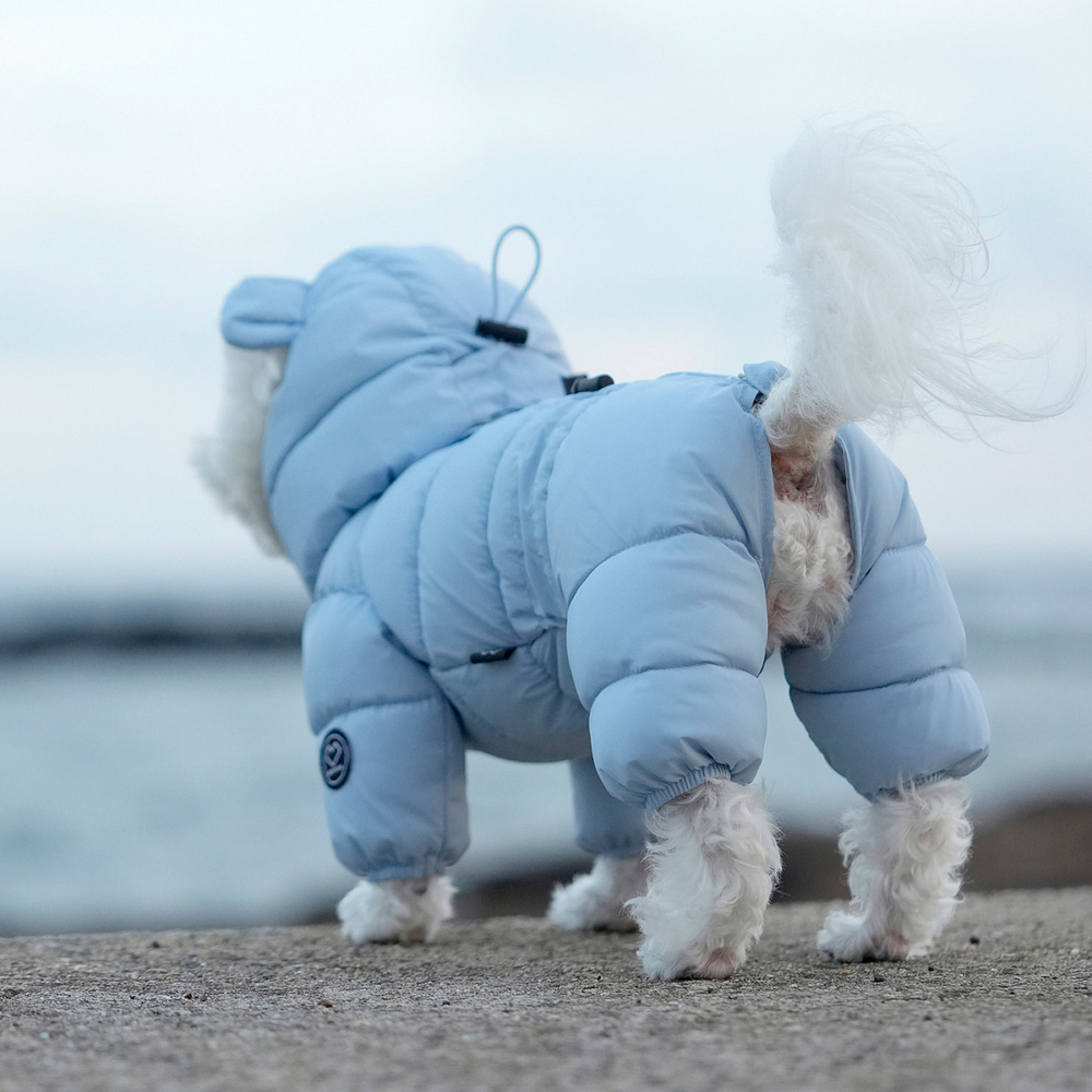 671 Комбинезон "Комфорт до -20-25°C" с молнией на спине, унисекс / COMFORT - FOR BOYS, для мальчика PREMIUM (SSOOOK)