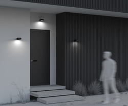 Уличный настенный светильник Outdoor O443WL-L12GF3K