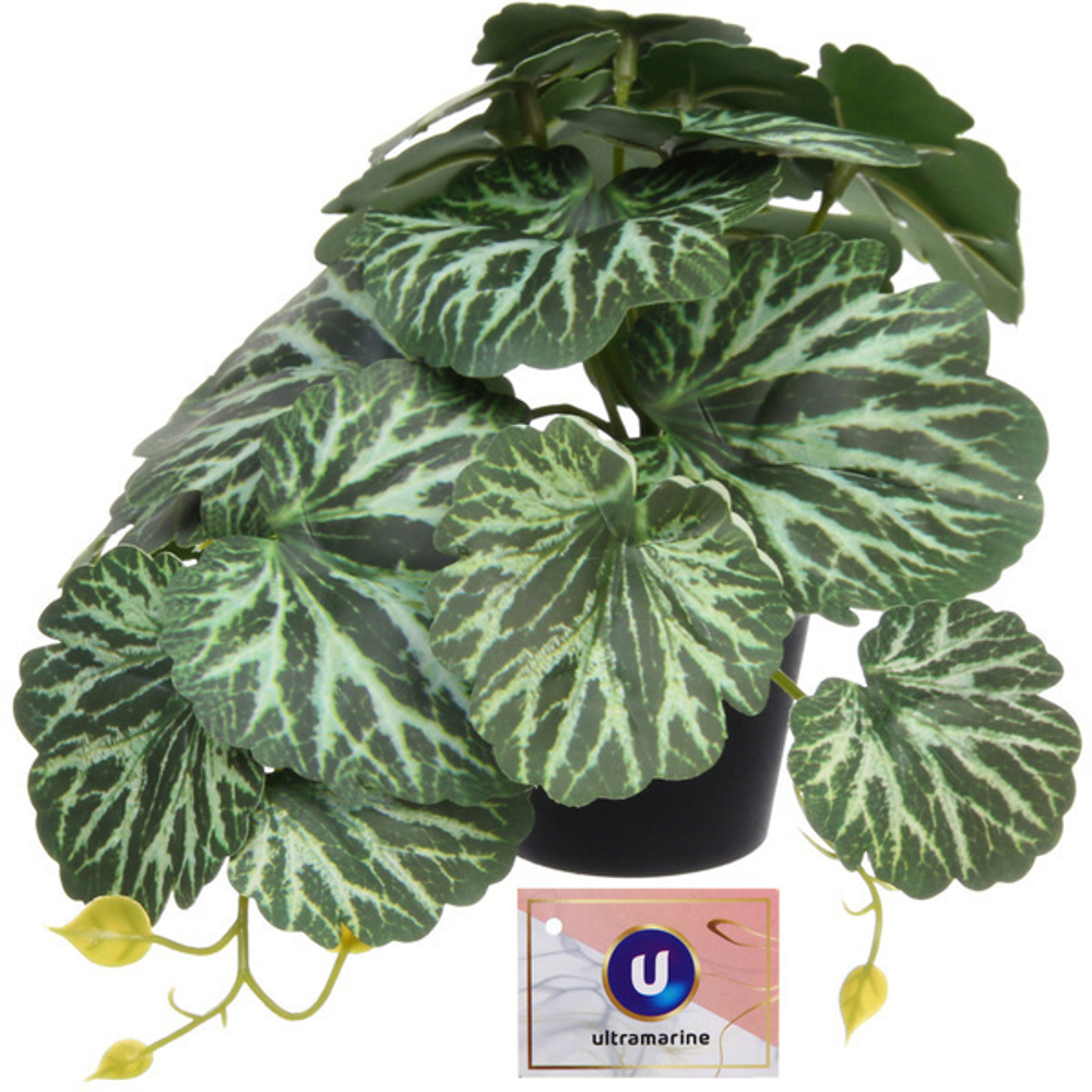 Цветок искусственный в горшке «Бегония» 20*16см