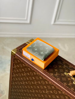 Louis Vuitton Multiple Wallet
