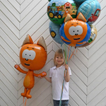 Шар Котенок Котэ, Фигура