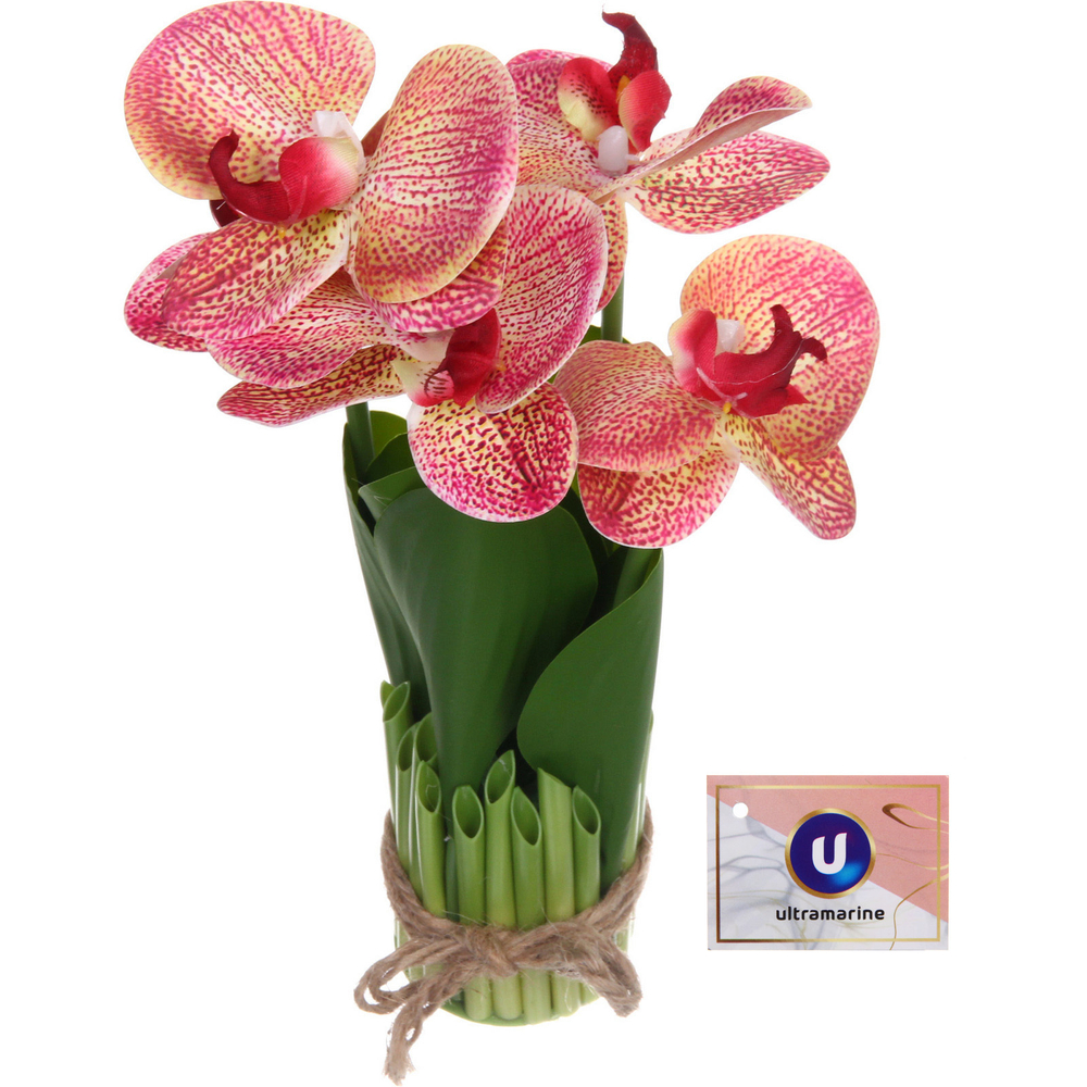 Цветочная композиция «Весенняя рапсодия» 19*27см Орхидея бордовая