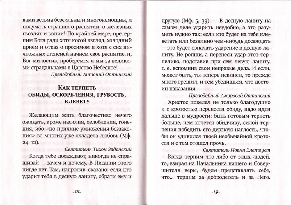 Как научиться терпеть недостатки ближних