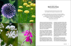 The Gardener`s Palette: Creating Colour Harmony in the Garden