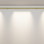 Светильник светодиодный для штанговой системы освещения Maytoni AXITY Points C101CL-L500-12W3-6K-BS