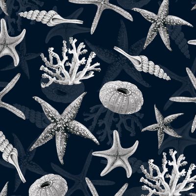 синий фон в морском стиле с морскими звездами ракушками и кораллами