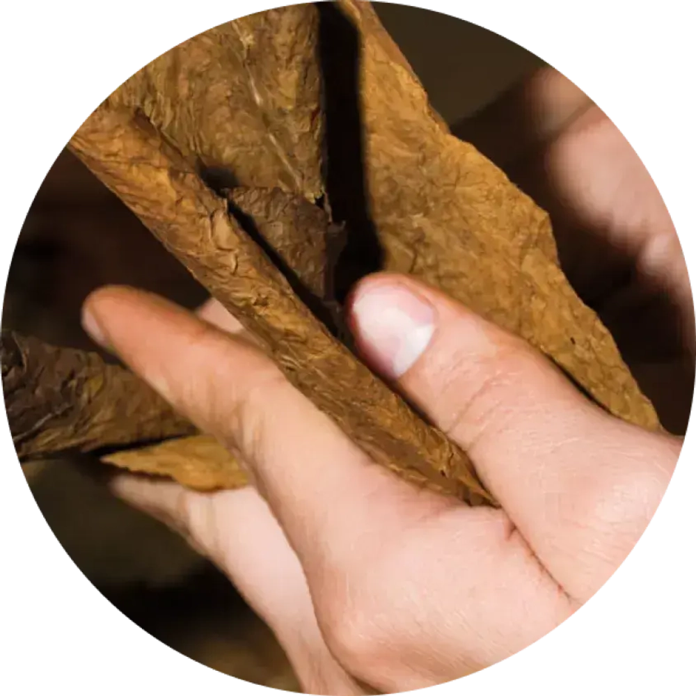 Aircraft CIGAR BLEND - New World Blend (200г)