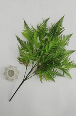 Куст папоротника / Арт 5014