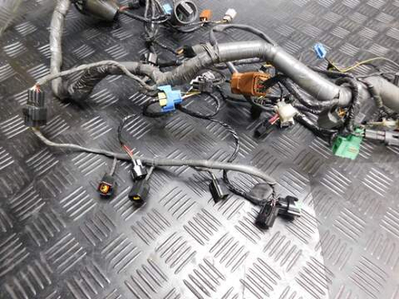 Коса электропроводки Kawasaki ZZR1400 ZXT40C 051930