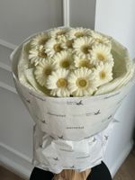 Монобукет из 15 минигербер