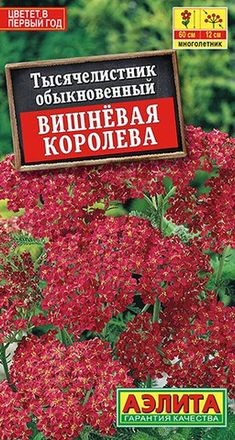 Тысячелистник
