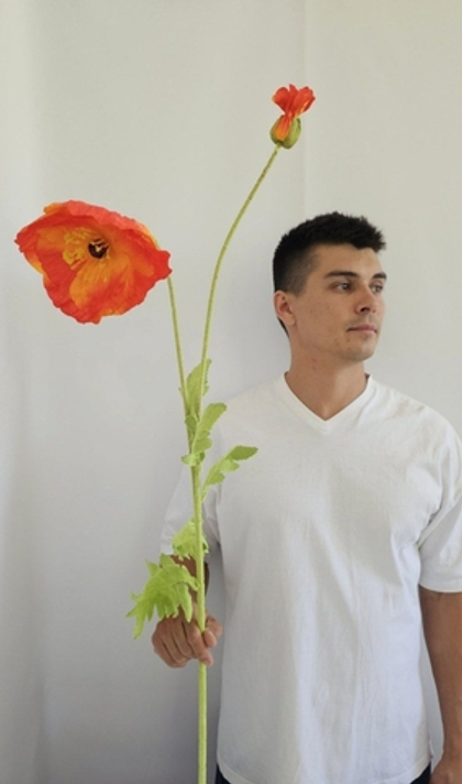 Мак крупный / Арт 2246