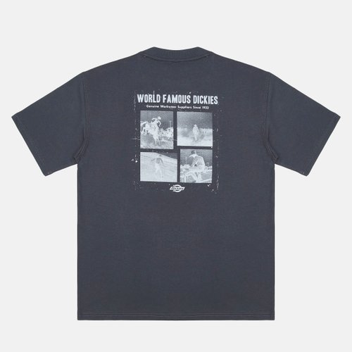 Футболка мужская Dickies Wolfhurst Short Sleeve Tee 