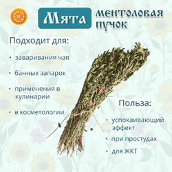 Мята ментоловая пучок.
