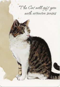 Power Animals. Spirit Guides for Your Spiritual Life / Оракул Сила Животных. Тотемы для вашей духовной жизни