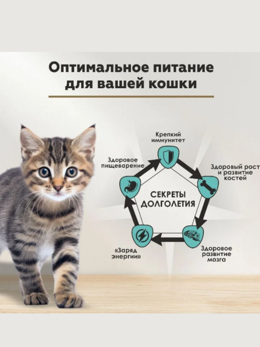 Влажный корм для котят Secret Life Force (Секрет) 0,085кг ягненок в соусе пауч. В комплекте 24 шт