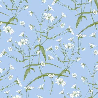 Майские цветы