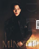 публикация DICON - VOLUME N 26 SEVENTEEN MINGYU B Type