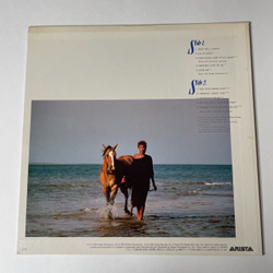 Винтажная виниловая пластинка LP Whitney Houston (Japan 1986) (No Obi) How Will I Know