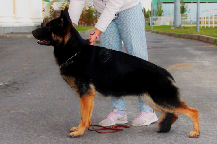 Серебряная Луна ЖАННА 2