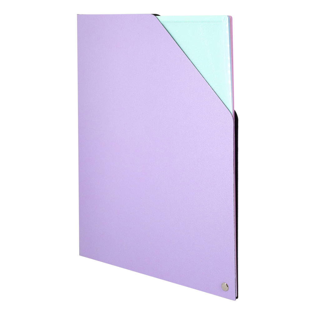 Папка архивная Alingar, A4, 330*250 мм, пластик, 1500 мкм, на резинке с 4 файлами, сиреневый