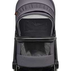 Коляска 2 в 1 Labala Raiz Edition Line 2025 Anthrazit