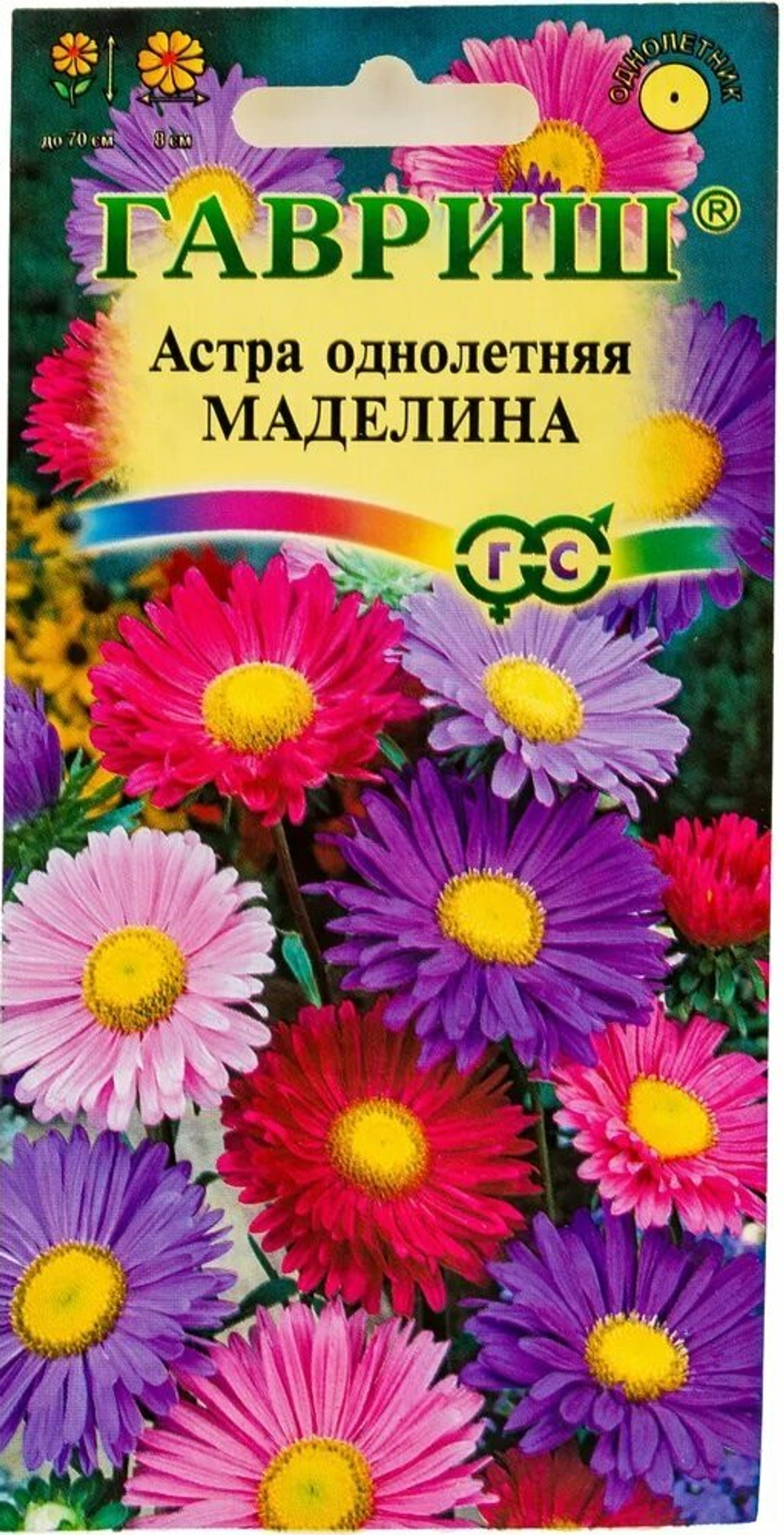 мадел