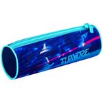 Пенал мягкий тубус 210*60 Berlingo 2 отделения Future, полиэстер