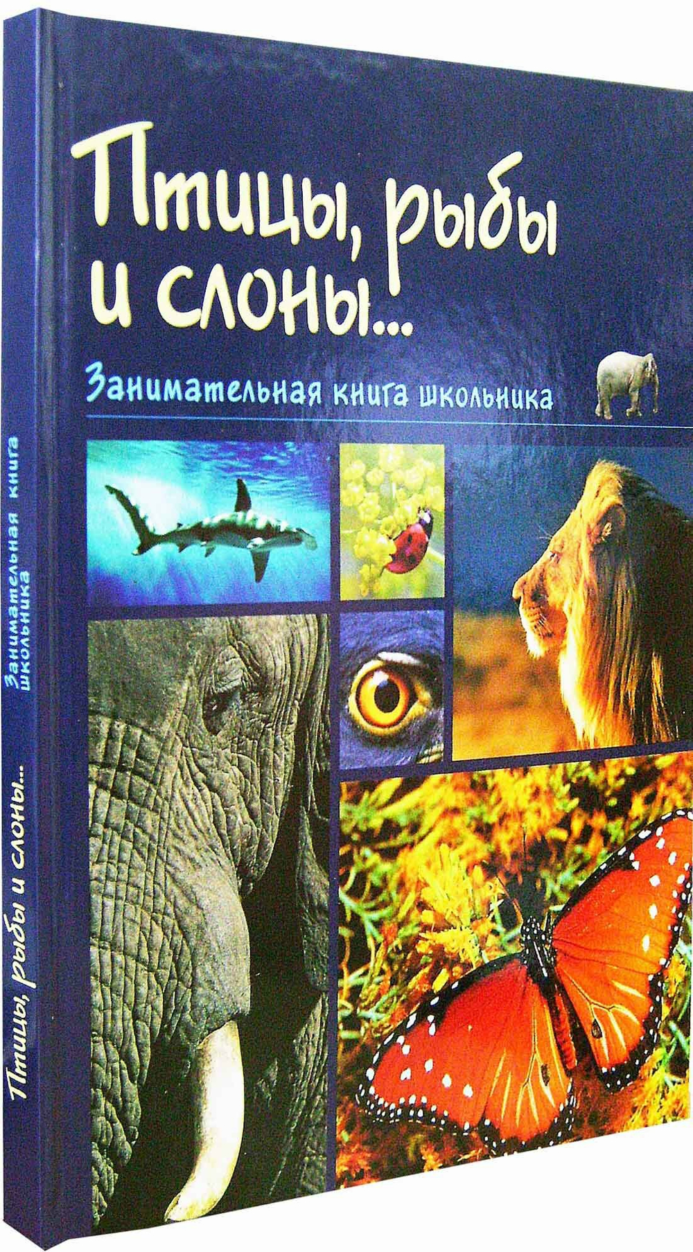 Птицы, рыбы и слоны... Занимальная книга школьника. Н. С. Медведева