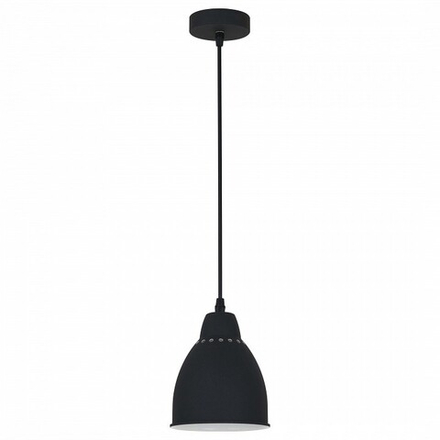 Подвесной светильник Arte Lamp Braccio A2054SP-1BK