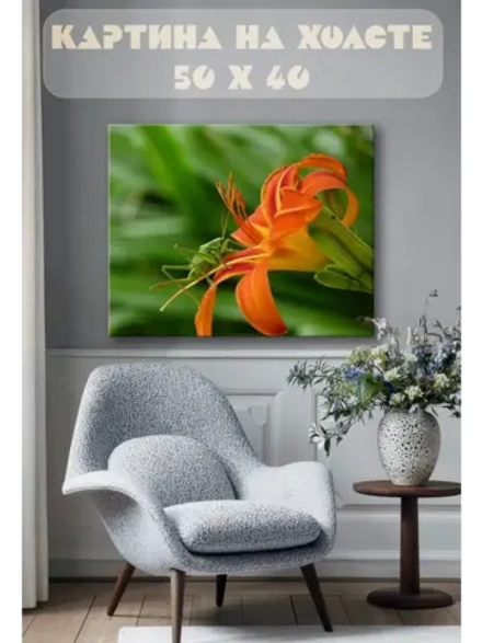 Картина на стену 40 X 50 Лилия и кузнечик
