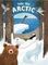 Into the Arctic: Look Closer