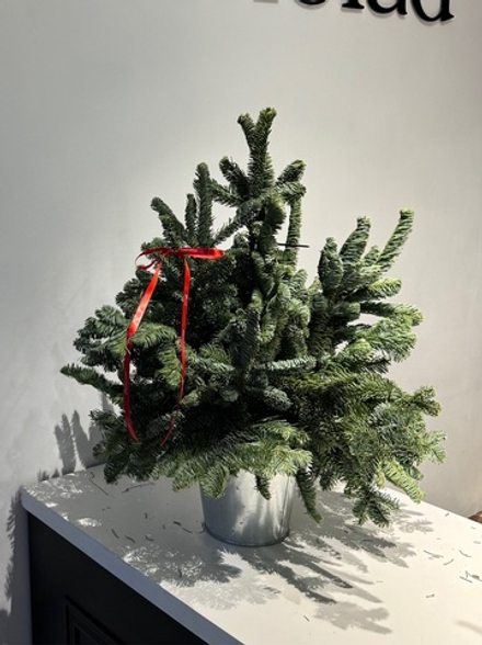 Елка декоративная h-75см