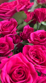 15 веточек кустовых роз