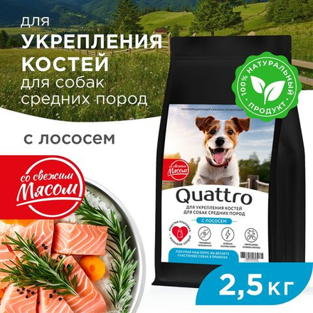 Корм сухой для взрослых собак средних пород, премиум полнорационный комплекс, укрепление костей, с лососем, 2,5 кг, QUATTRO