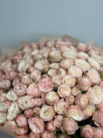 Розовые мечты