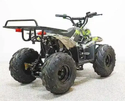 Электроквадроцикл Green Camel Гоби K51 (36V 800W R7 Цепь) ножной тормоз
